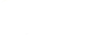 logo-blanco logo-blanco